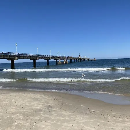 Marin, 12