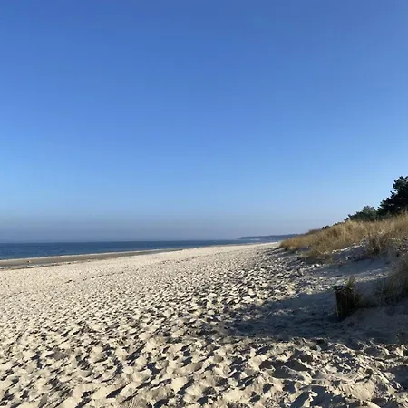 Marin, 12 *