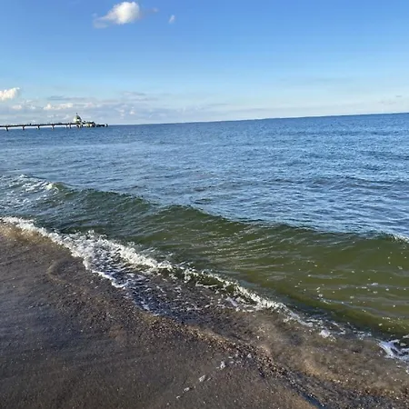 Marin, 12 * Цинновиц